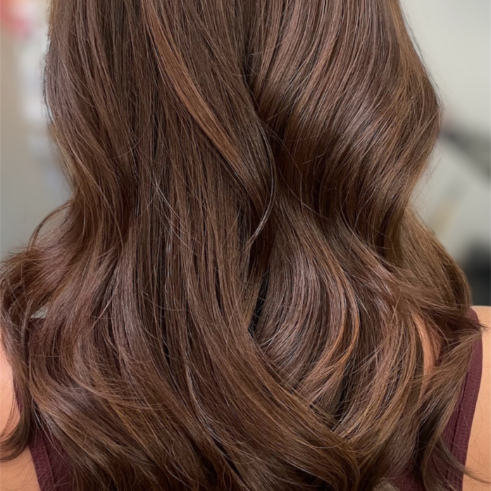 Brown w_Blonde Balayage (4)