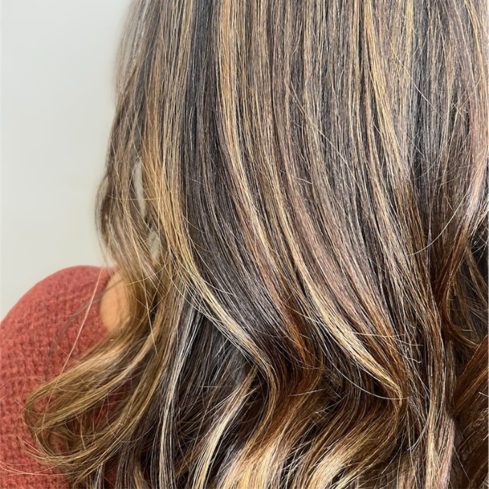 Brown w_Blonde Balayage (5)