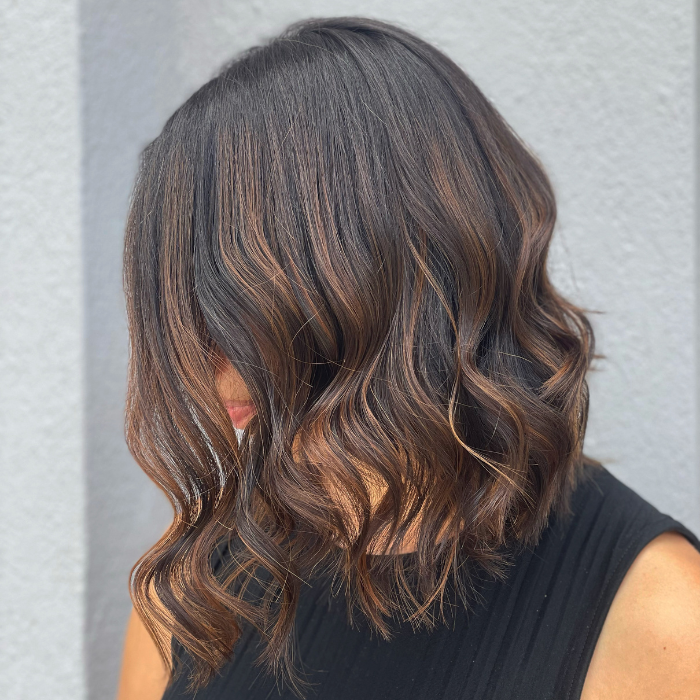 Brown w/Blonde Balayage Gallery