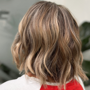 Brown w/Blonde Highlights Gallery