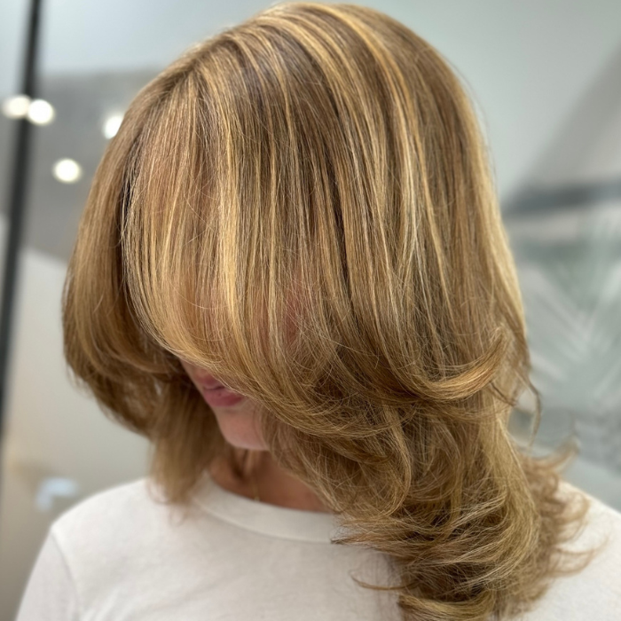 Classic Blonde Highlights Gallery