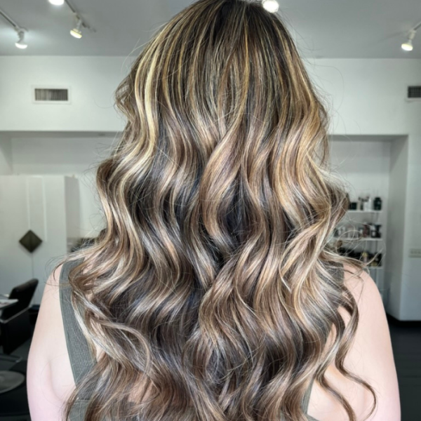 Brown w/Blonde Highlights Gallery